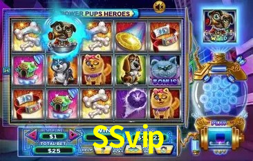 Interface moderna da plataforma SSvip